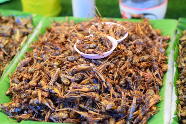 Jangkrik Goreng